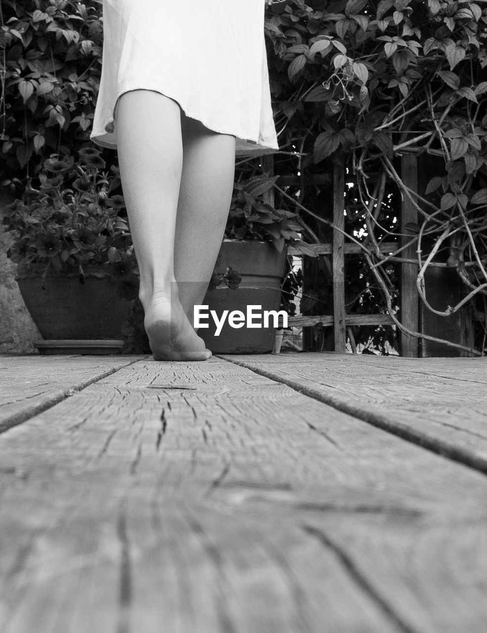 Low section of woman standing on boardwalk 