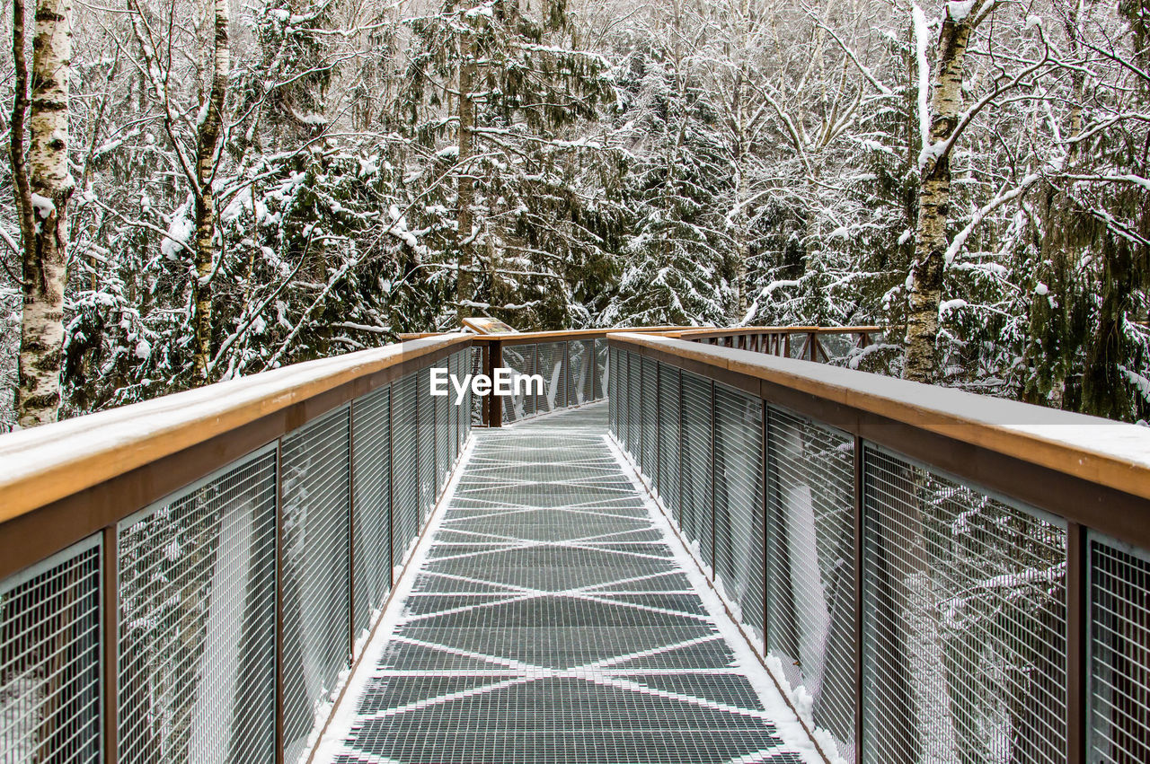 Walkway in forest against trees during winter