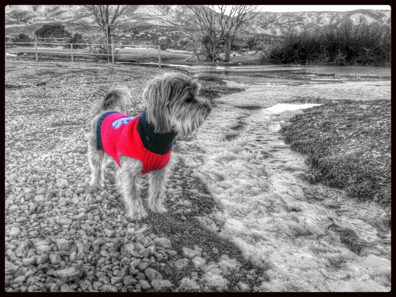 REAR VIEW OF A GIRL LOOKING AWAY