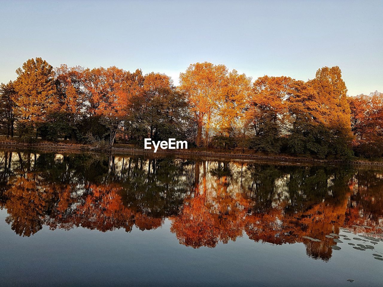 REFLECTION OF TREES IN LAKE DURING AUTUMN