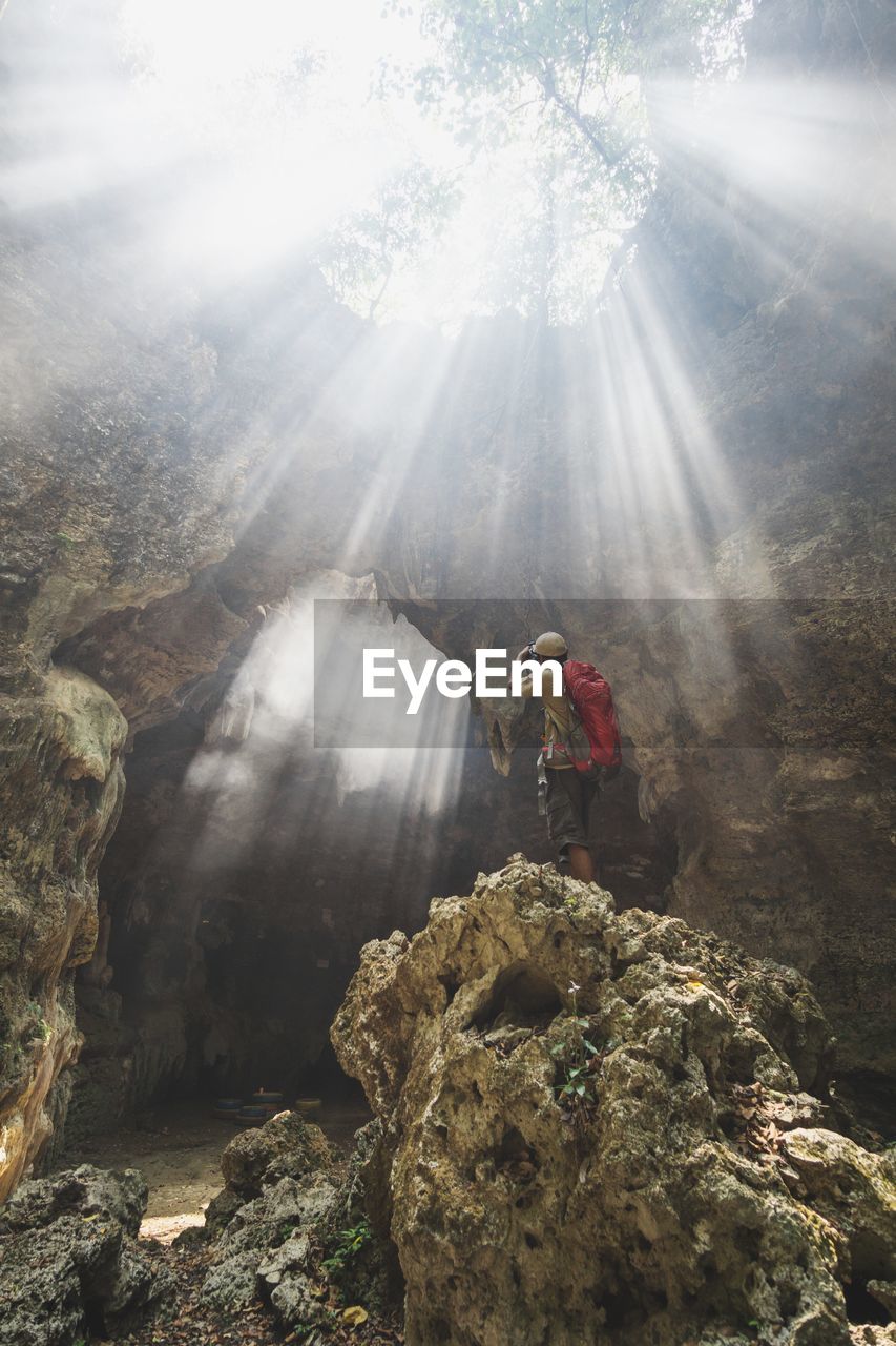 Low angle view of sunlight streaming through trees on man in forest