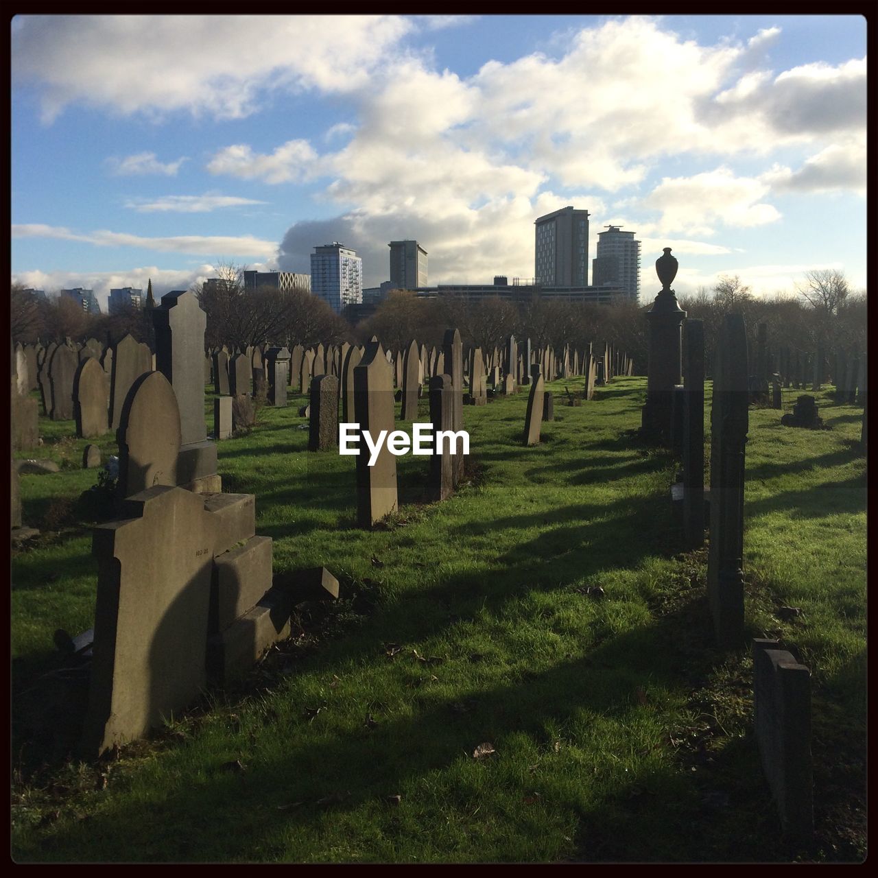 Tombstones in cemetery