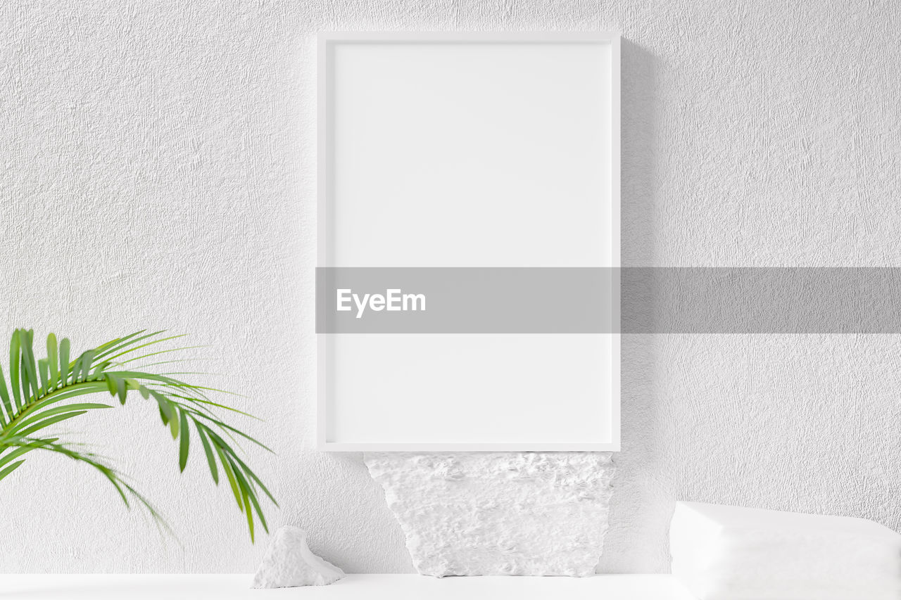 CLOSE-UP OF POTTED PLANT AGAINST WHITE WALL