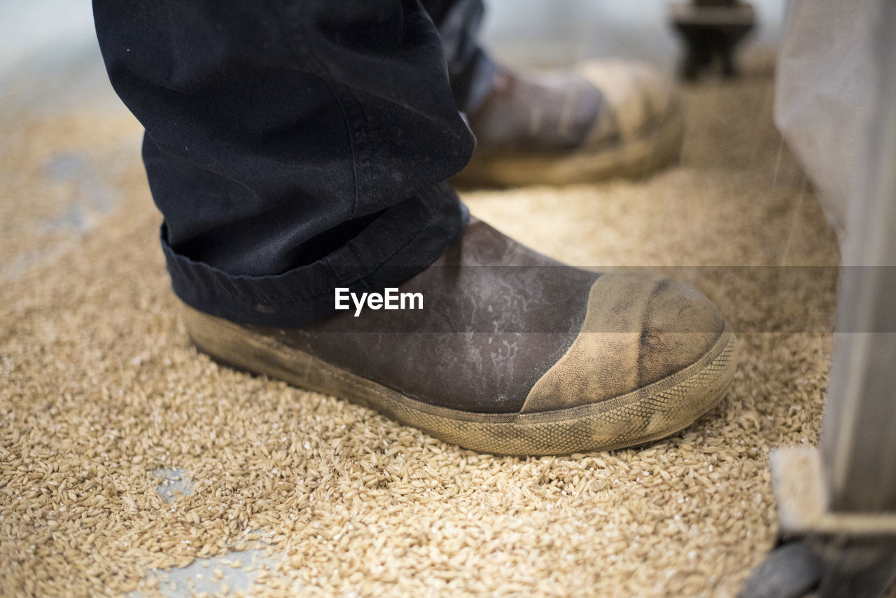 A brewers boots standing in malt at a brewery.