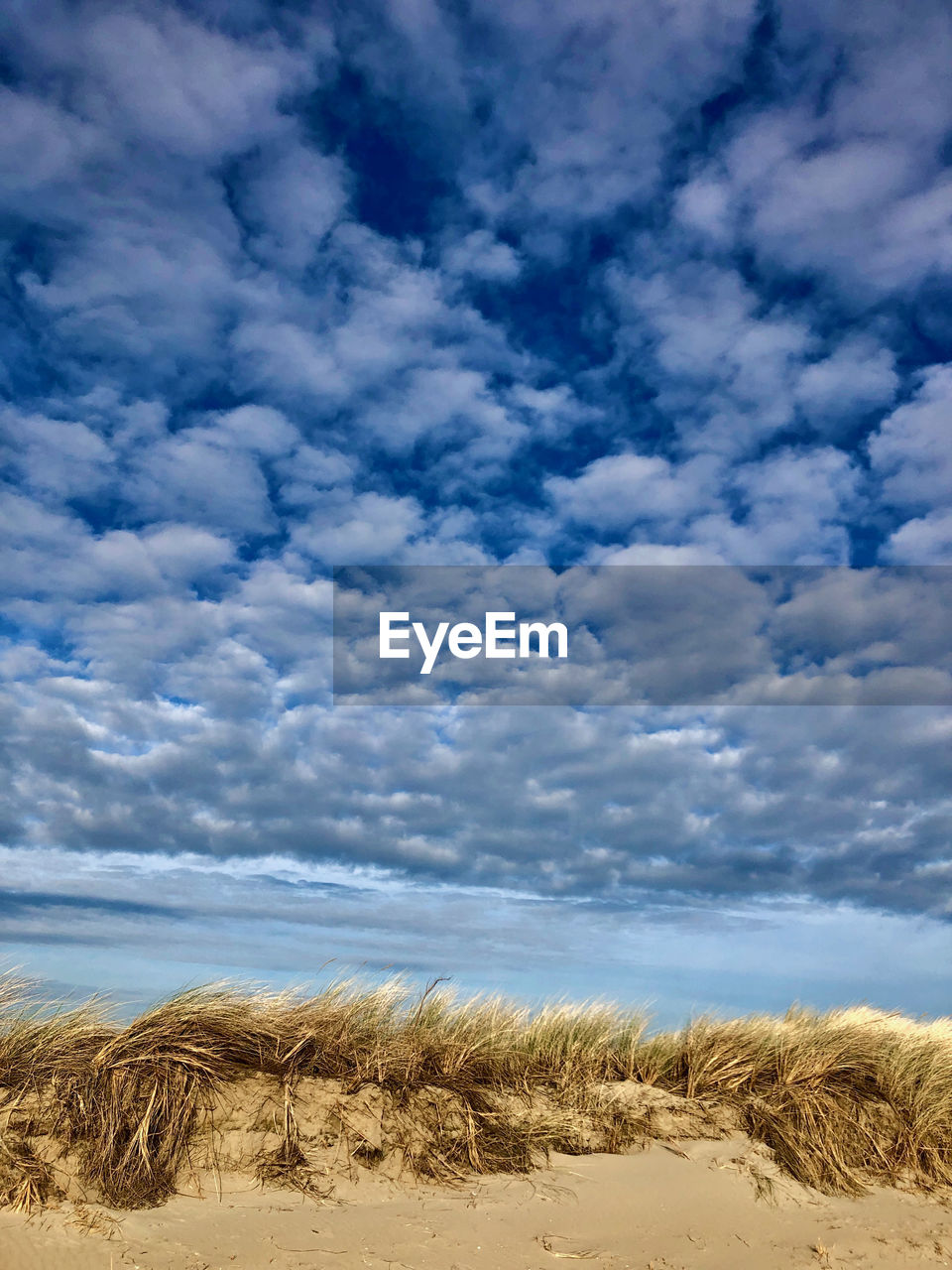 SCENIC VIEW OF LAND AGAINST SKY