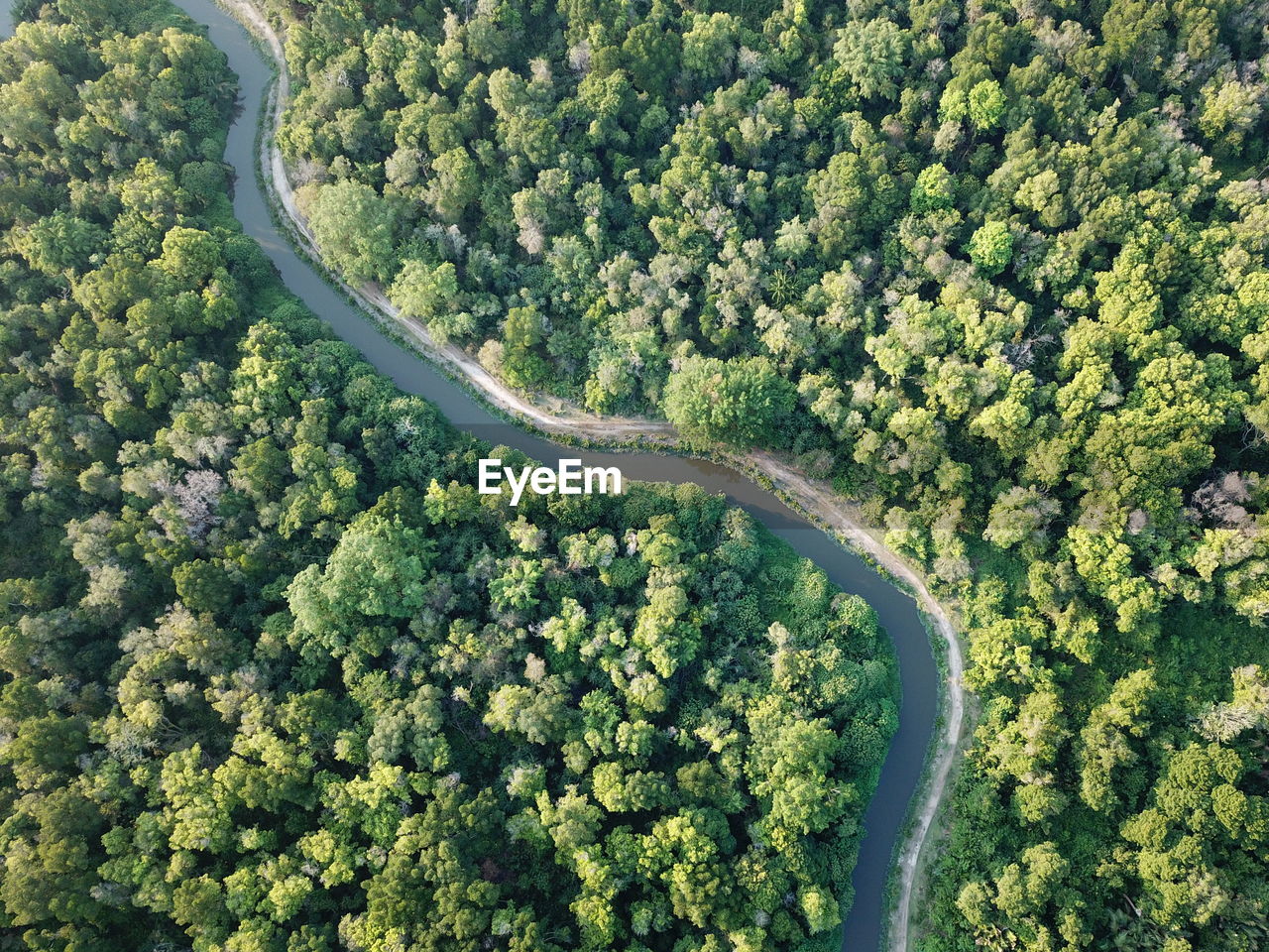 High angle view of road amidst trees in forest