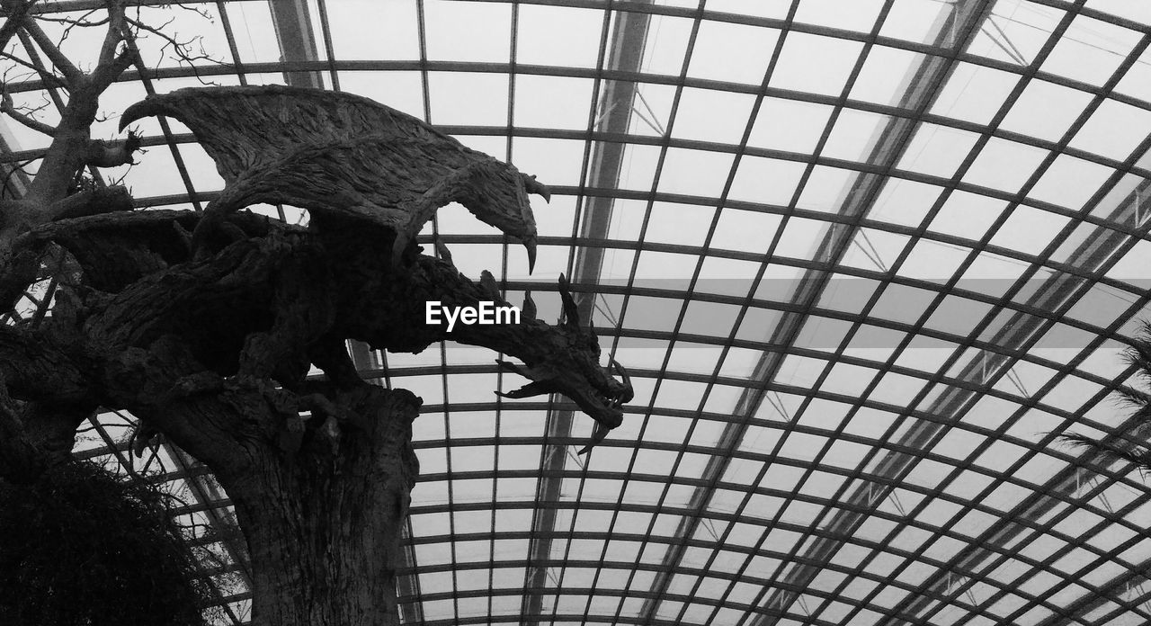 LOW ANGLE VIEW OF MAN ON METAL