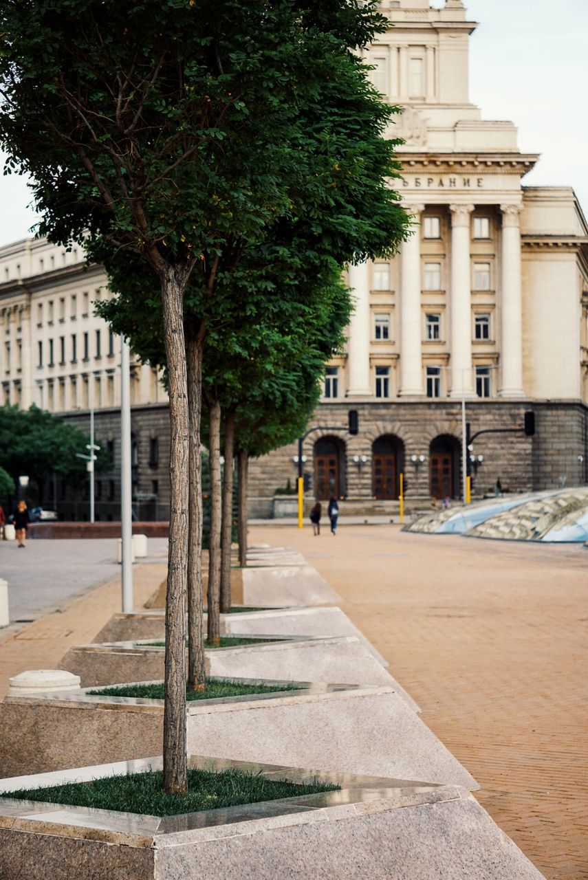 Trees in front of building