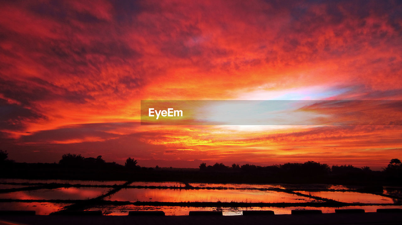 SCENIC VIEW OF DRAMATIC SKY OVER SILHOUETTE TREES