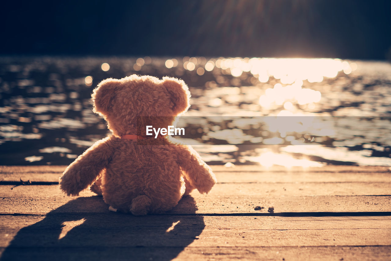 Teddy bear on pier over lake during sunny day