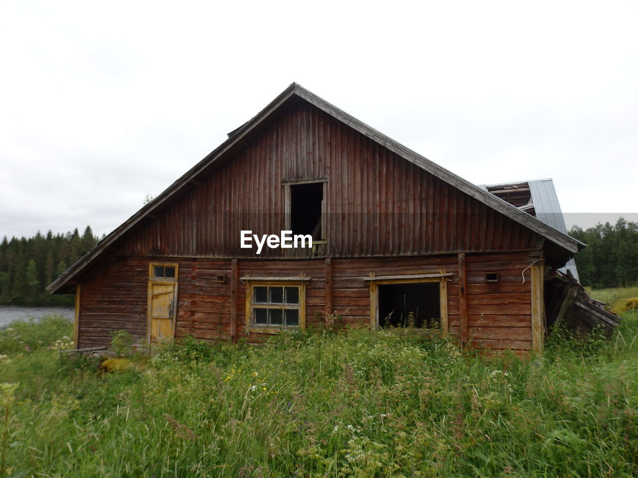 architecture, built structure, building exterior, grass, plant, barn, building, wood, house, landscape, rural scene, sky, nature, rural area, shack, agricultural building, no people, farm, hut, land, non-urban scene, log cabin, abandoned, residential district, shed, field, day, green, cottage, farmhouse, cloud, home, rundown, old, outdoors, agriculture, environment, rustic, window, scenics - nature, tranquility, tree, history, weathered