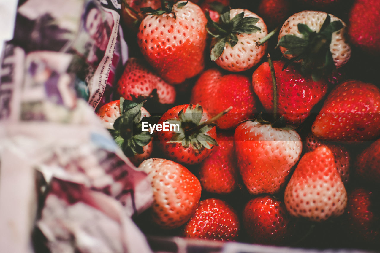 CLOSE-UP OF FRESH STRAWBERRIES IN PLATE