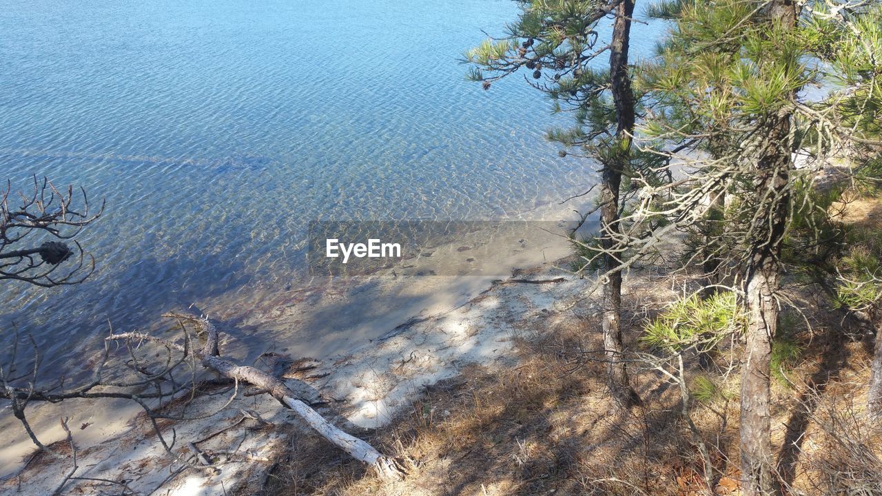 SCENIC VIEW OF SEA WITH TREES IN FOREGROUND