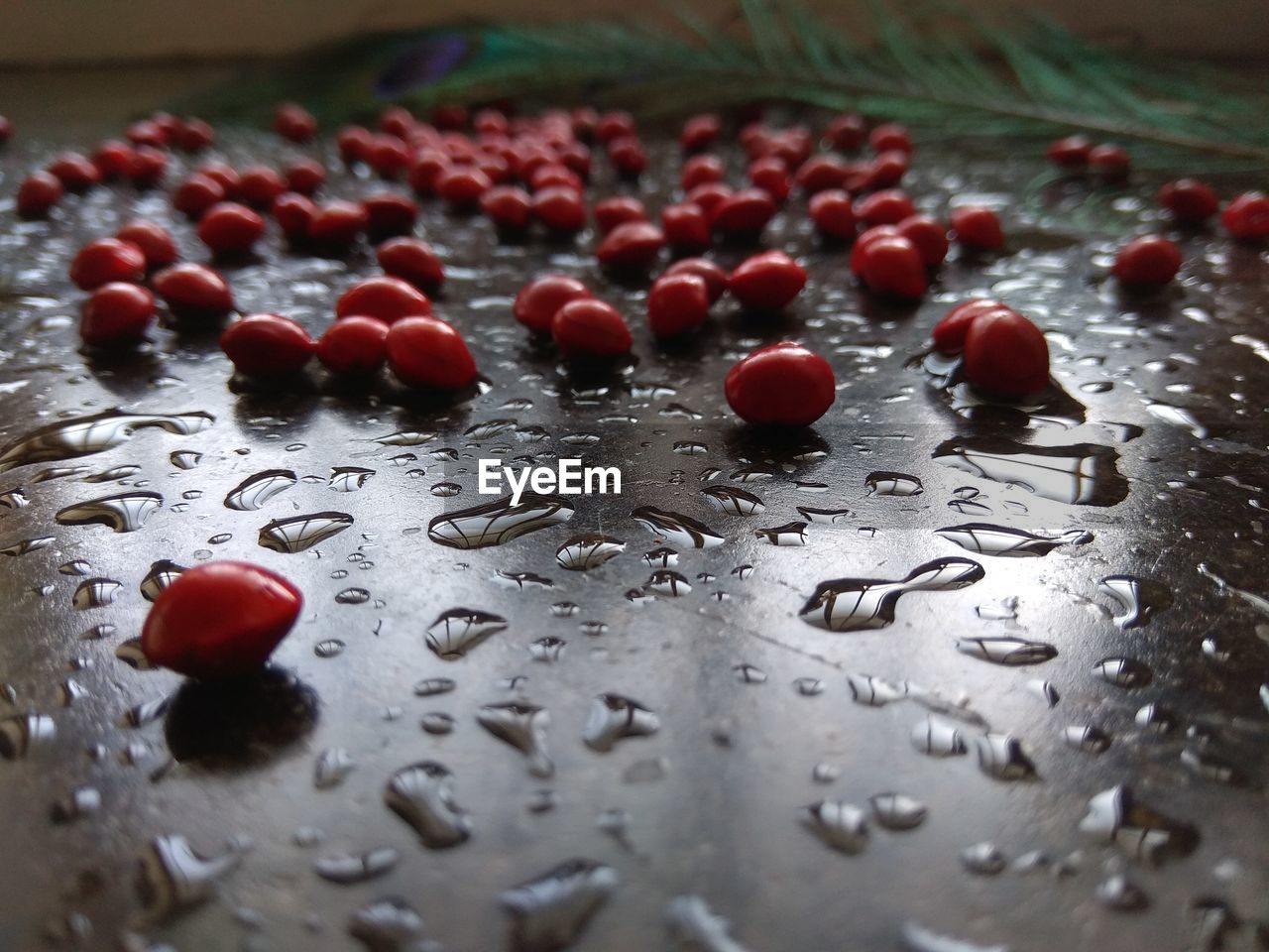 FULL FRAME SHOT OF RAINDROPS ON WET GLASS