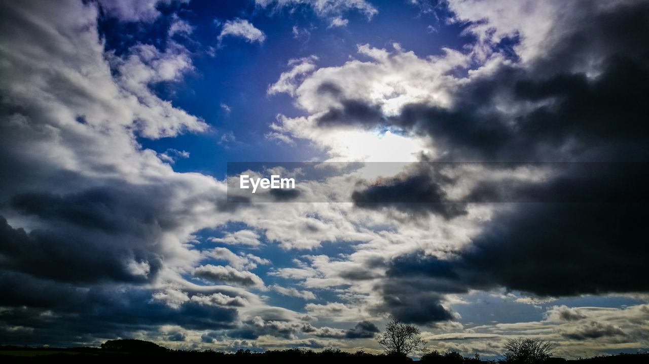 LOW ANGLE VIEW OF STORM CLOUDS OVER TREES