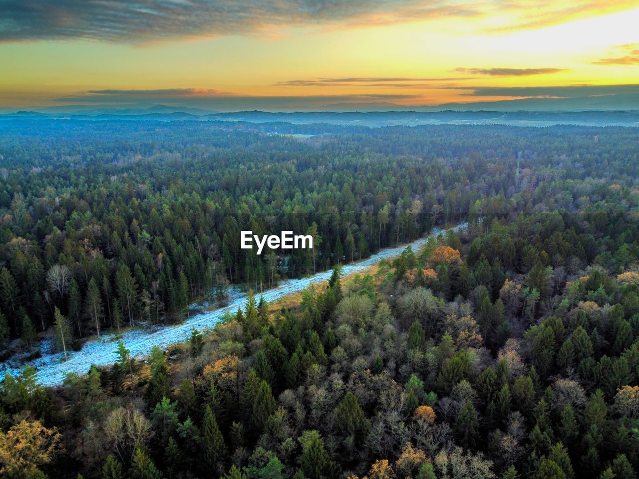 Scenic view of forest against sky during sunset