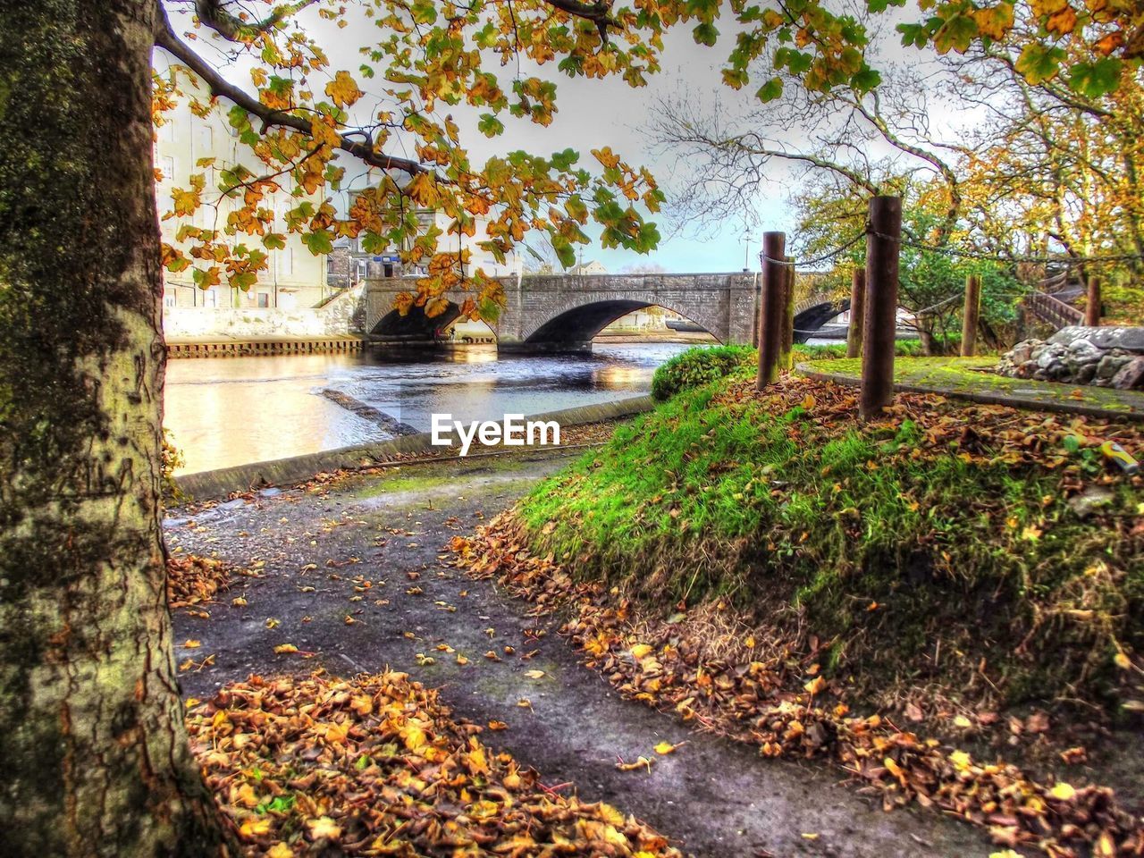 VIEW OF CANAL ALONG TREES