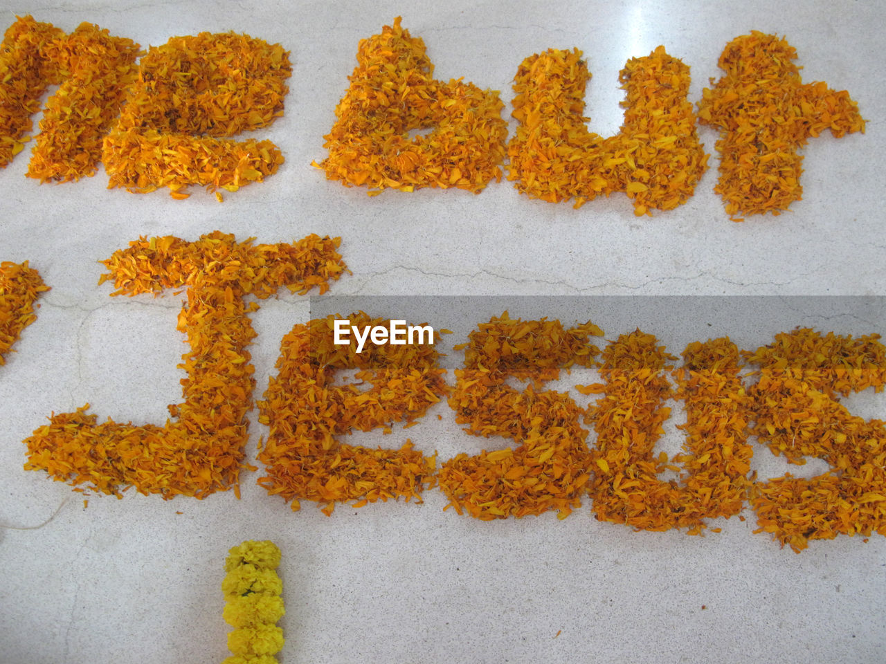 HIGH ANGLE VIEW OF FRESH ORANGE FLOWERS IN POT