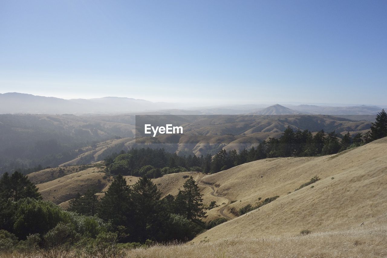 Scenic view of landscape against clear sky