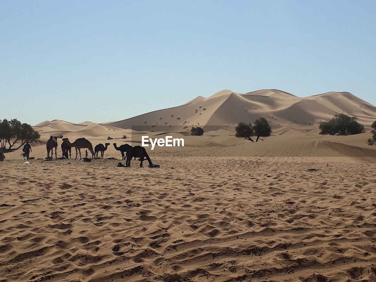 PANORAMIC VIEW OF A DESERT