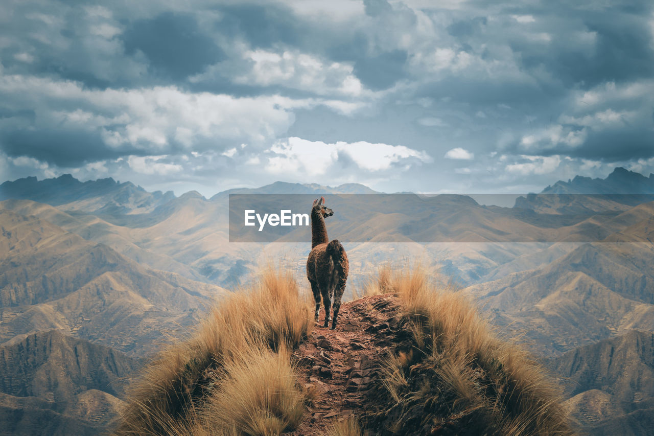 Man standing on mountain against sky