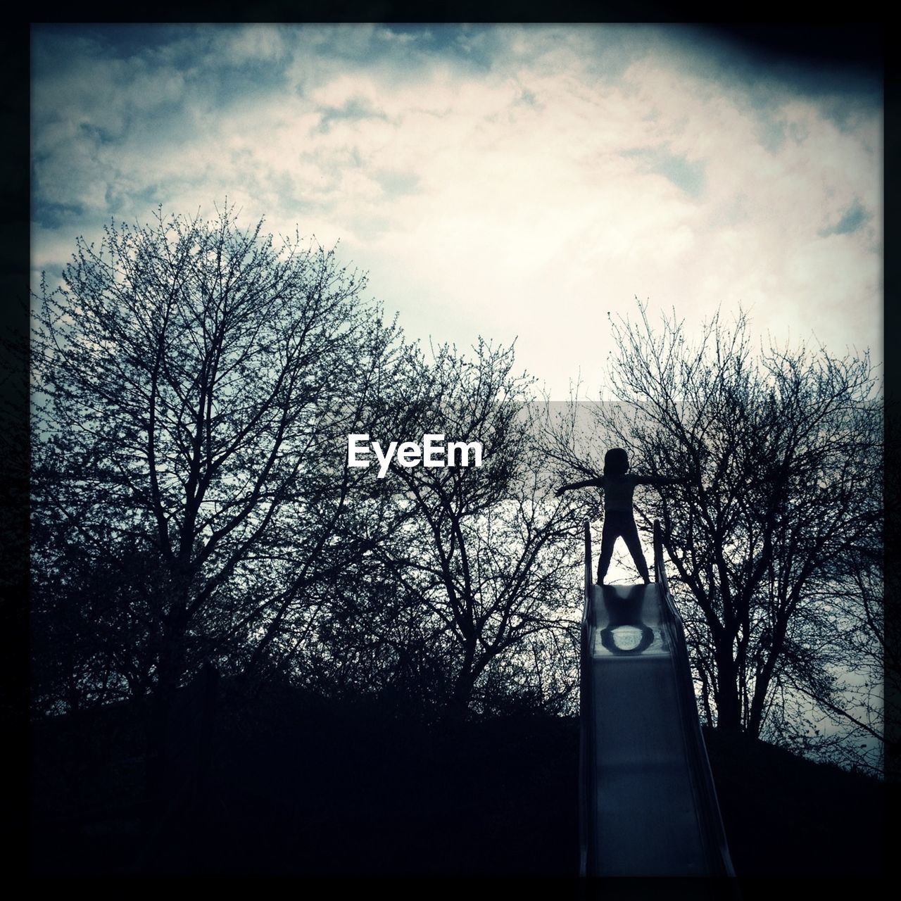 LOW ANGLE VIEW OF SILHOUETTE BARE TREES AGAINST SKY