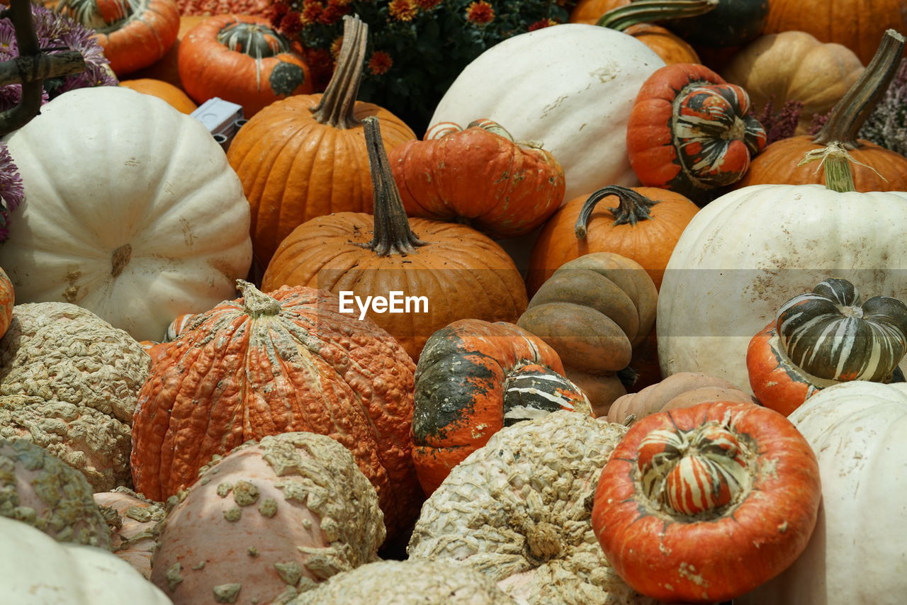 Full frame shot of squash vegetables for sale at market