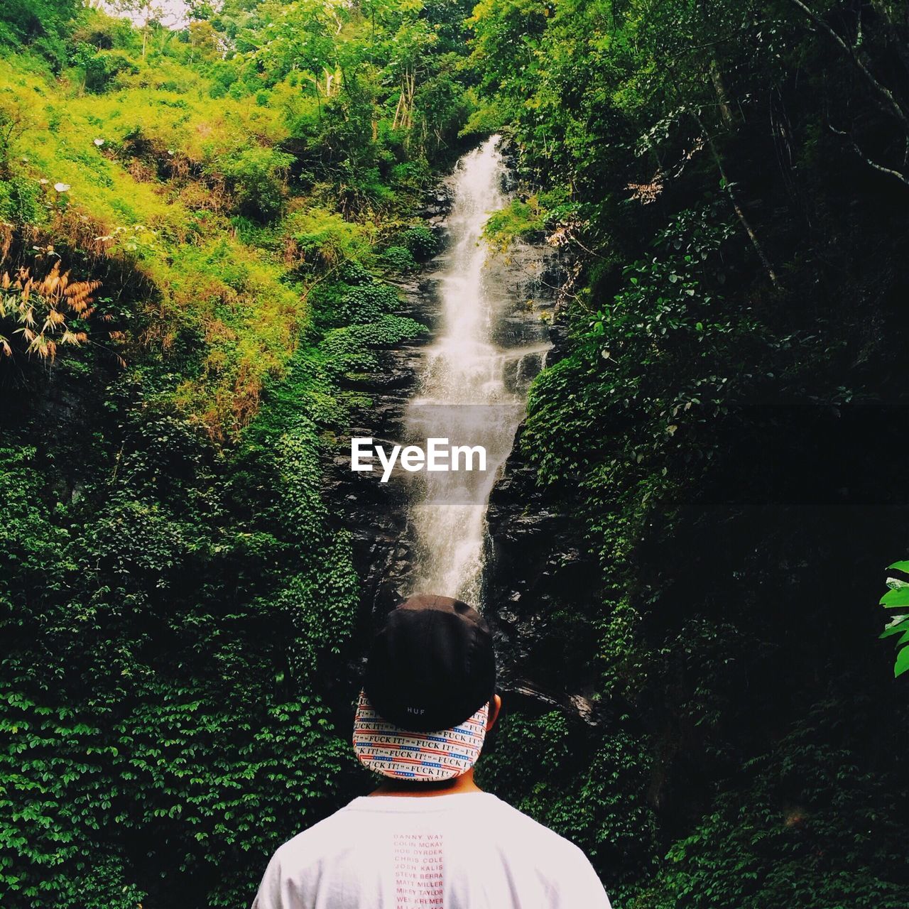 Person looking at waterfall in forest