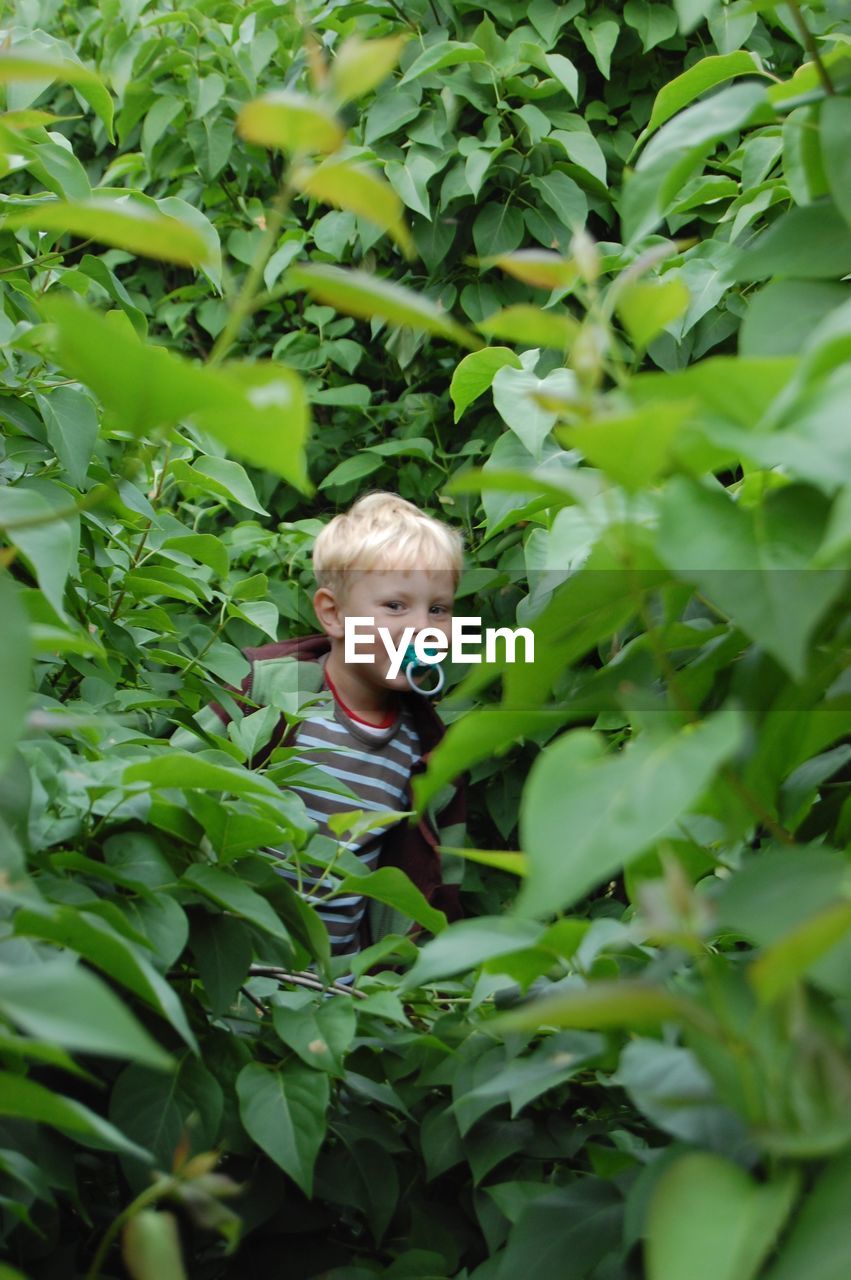 Portrait of smiling boy with pacifier in mouth standing amidst plants