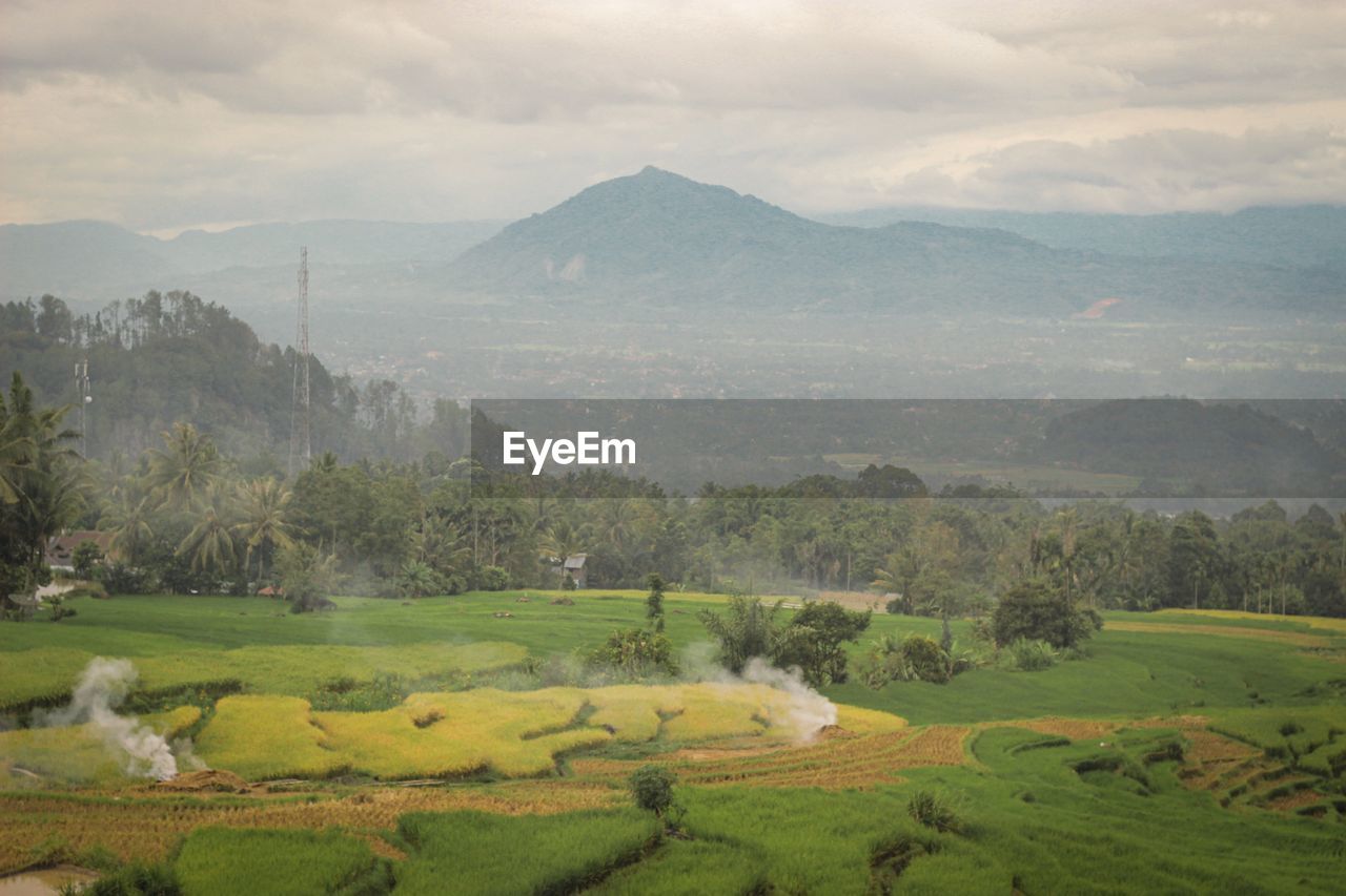 SCENIC VIEW OF FARM AGAINST SKY