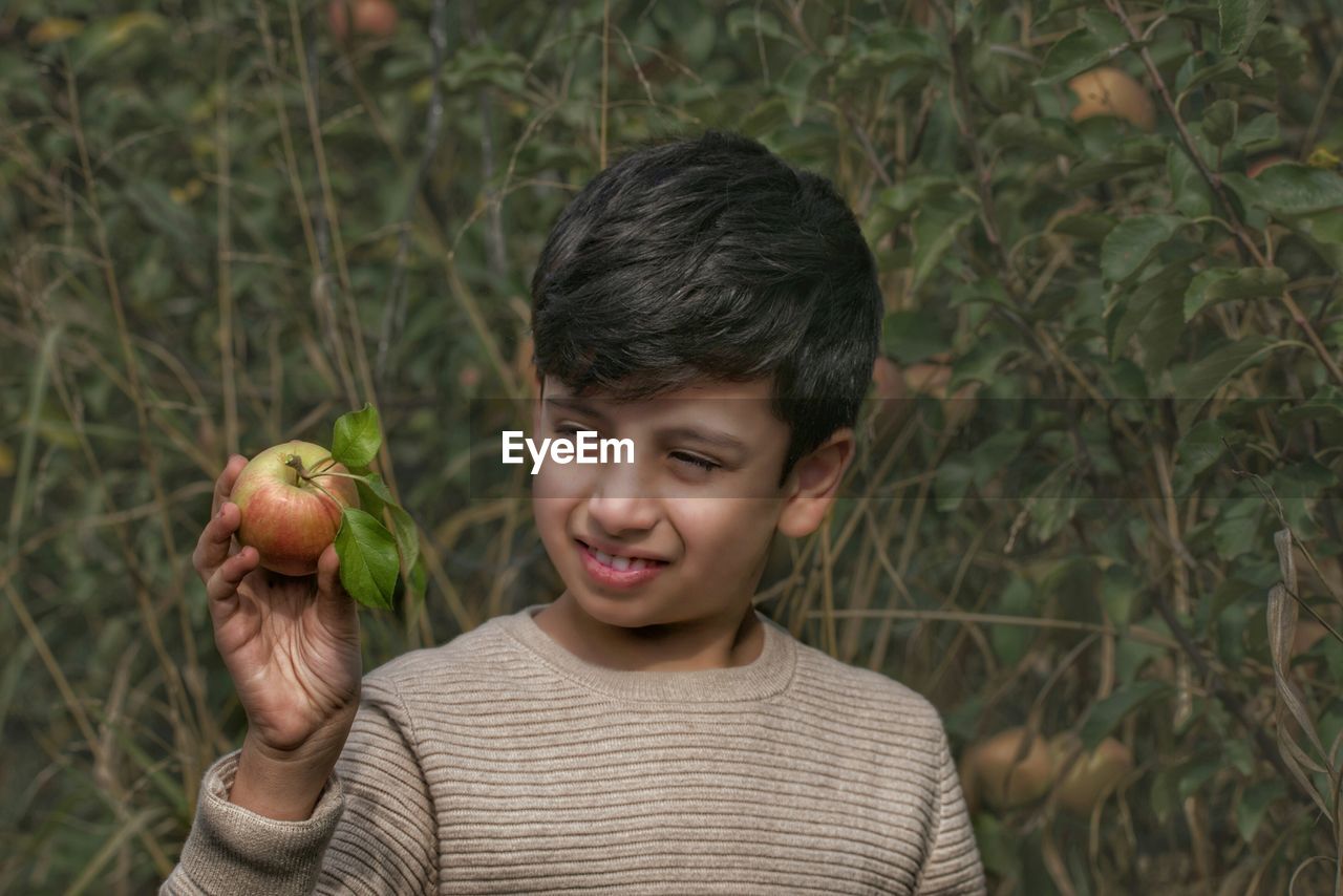 Close-up of boy looking at apple against trees