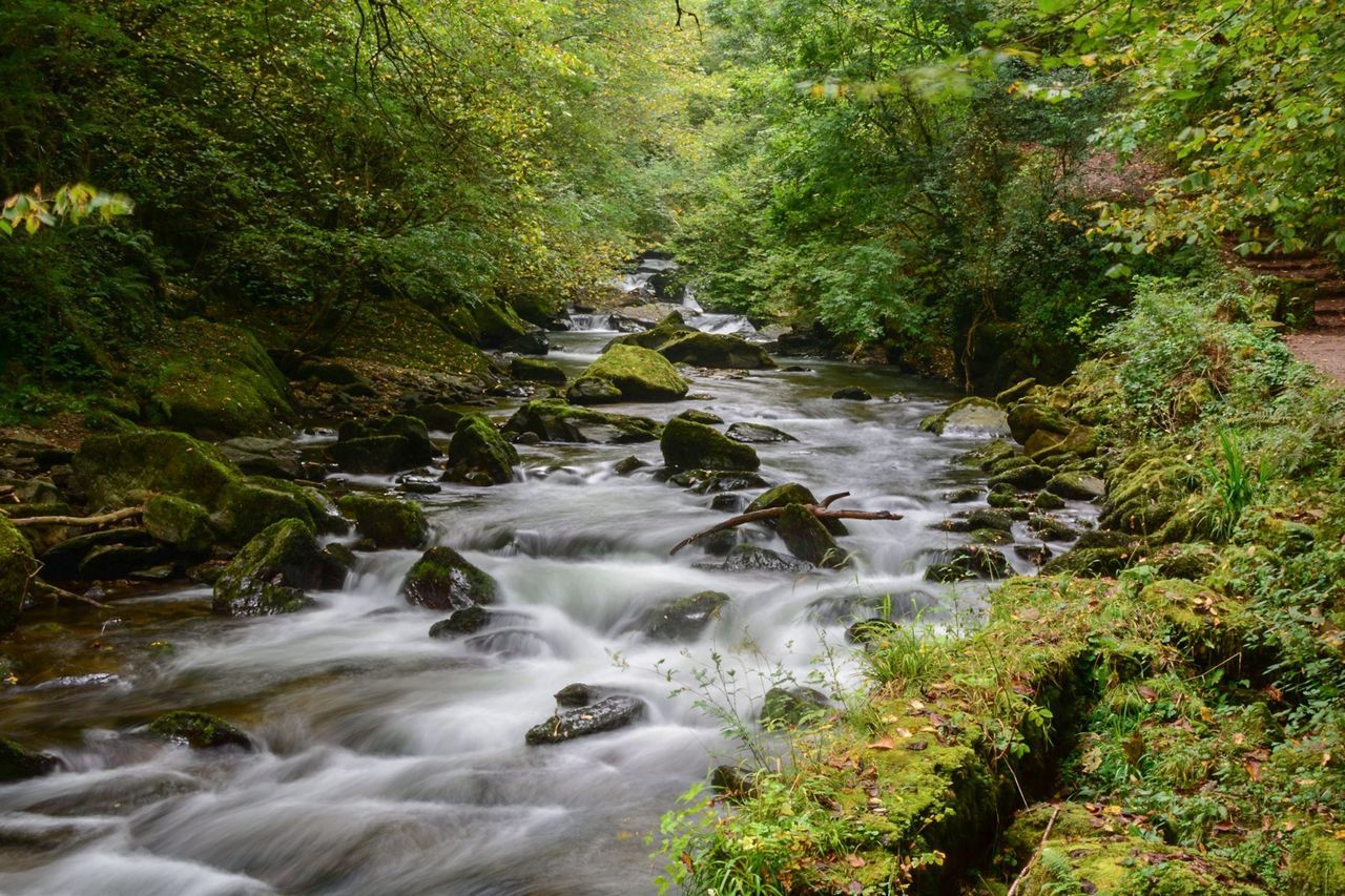 SCENIC VIEW OF RIVER FLOWING THROUGH ROCKS