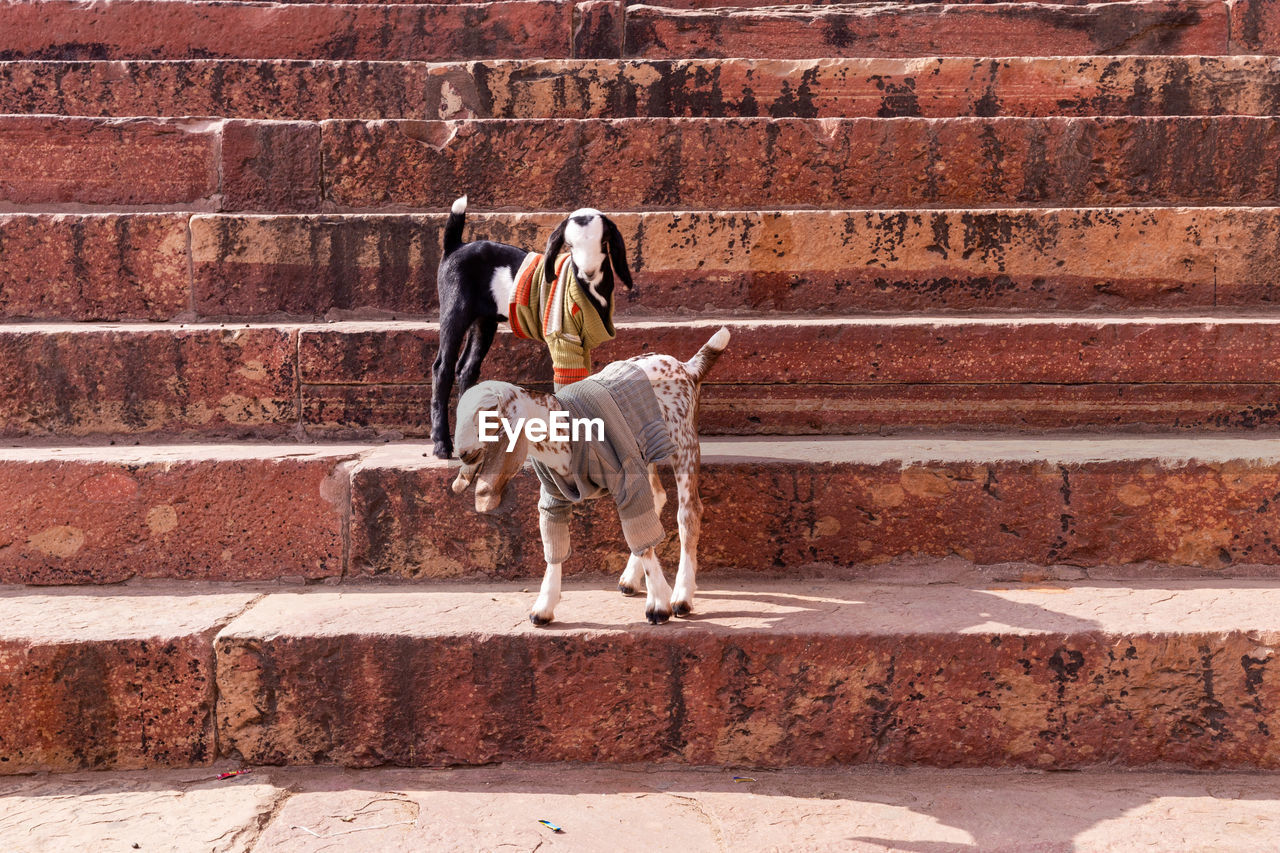 FULL LENGTH OF PEOPLE WALKING ON STAIRCASE