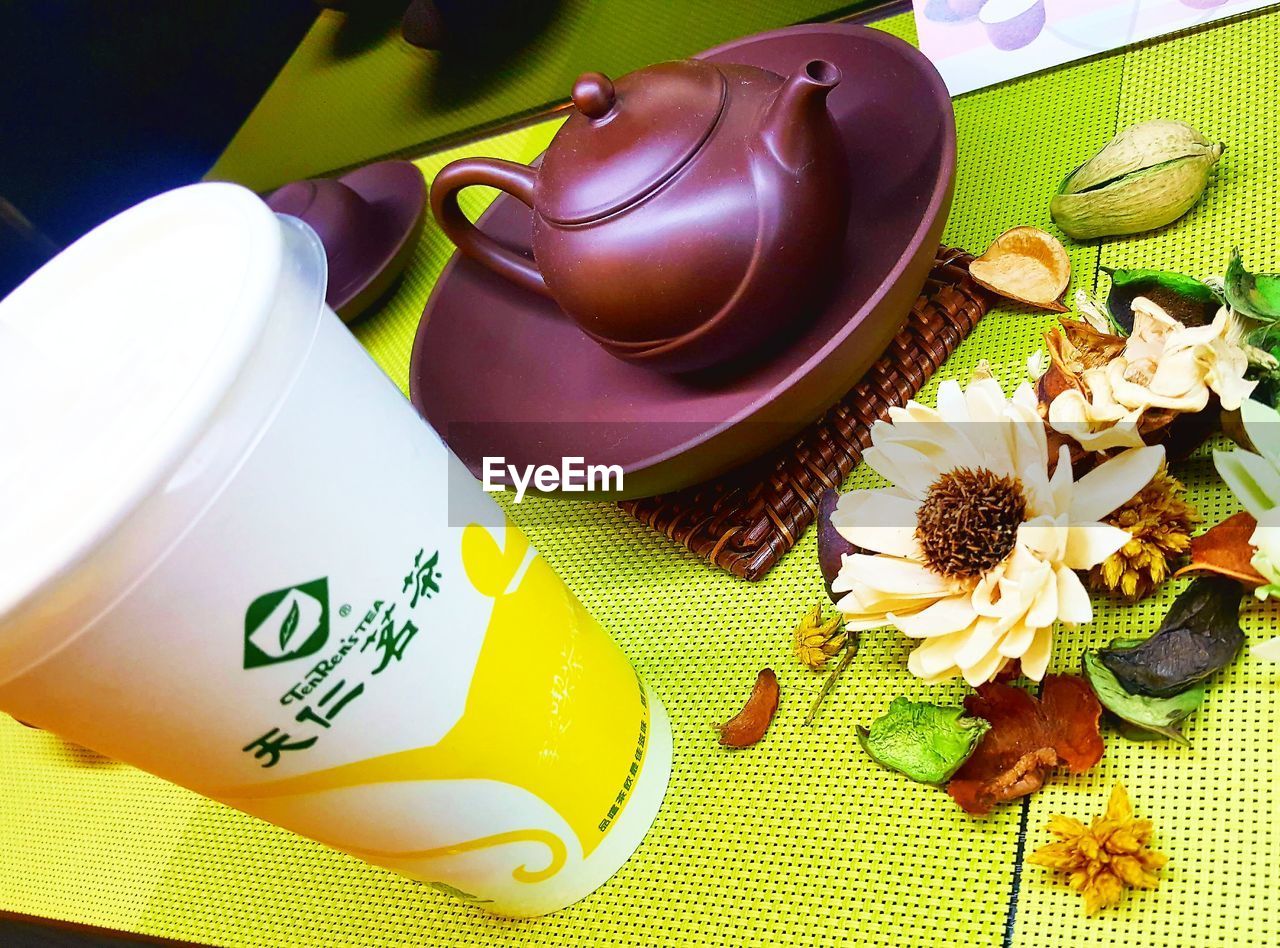 HIGH ANGLE VIEW OF POTTED PLANT ON TABLE AT HOME