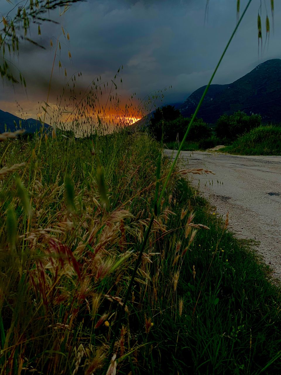 SCENIC VIEW OF LAND AGAINST SKY