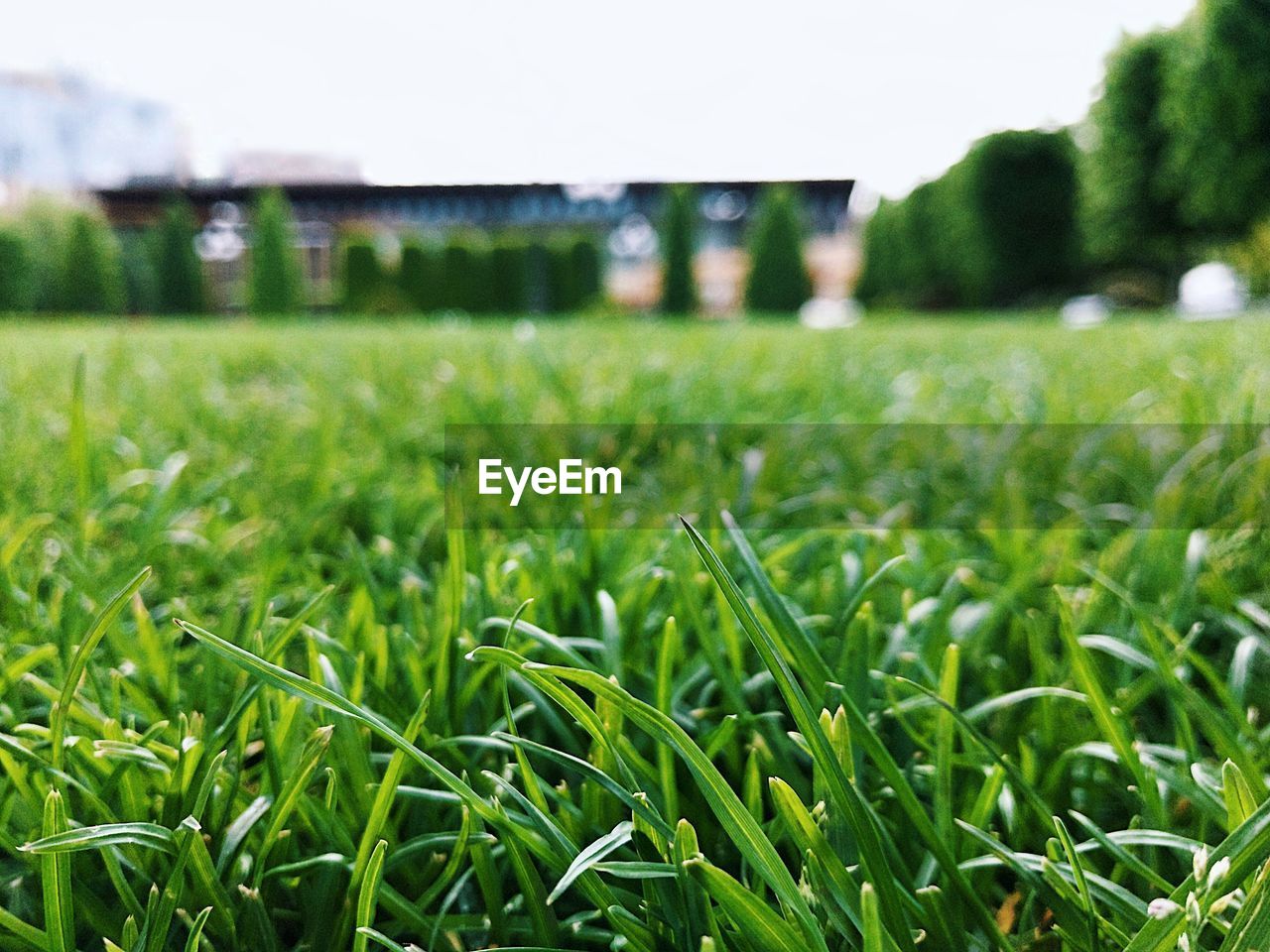 Close-up of soccer field against clear sky