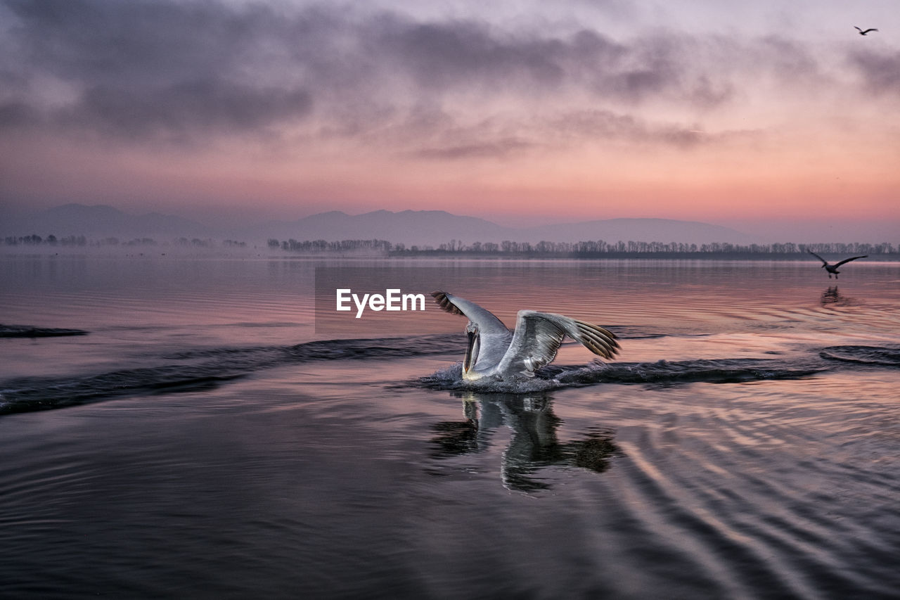 VIEW OF WOODEN POSTS IN SEA AGAINST SKY DURING SUNSET