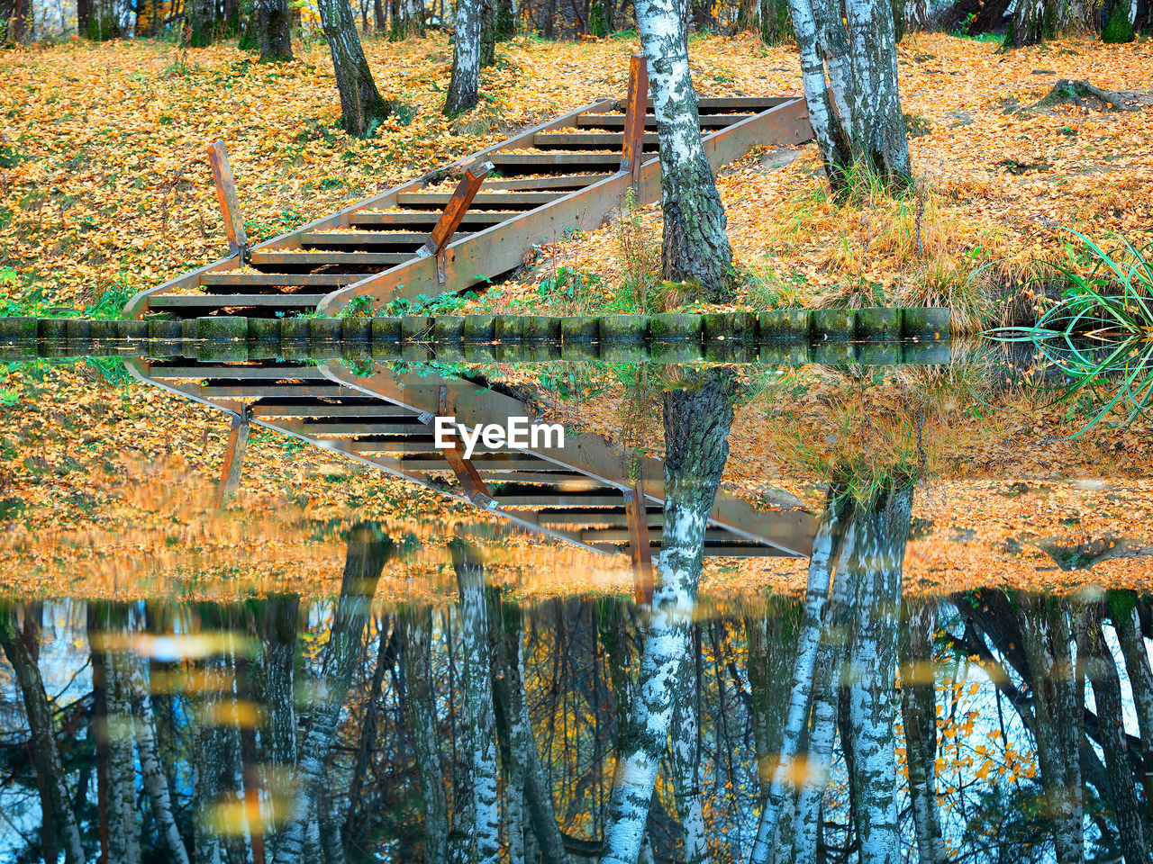 Scenic view of lake in forest during autumn