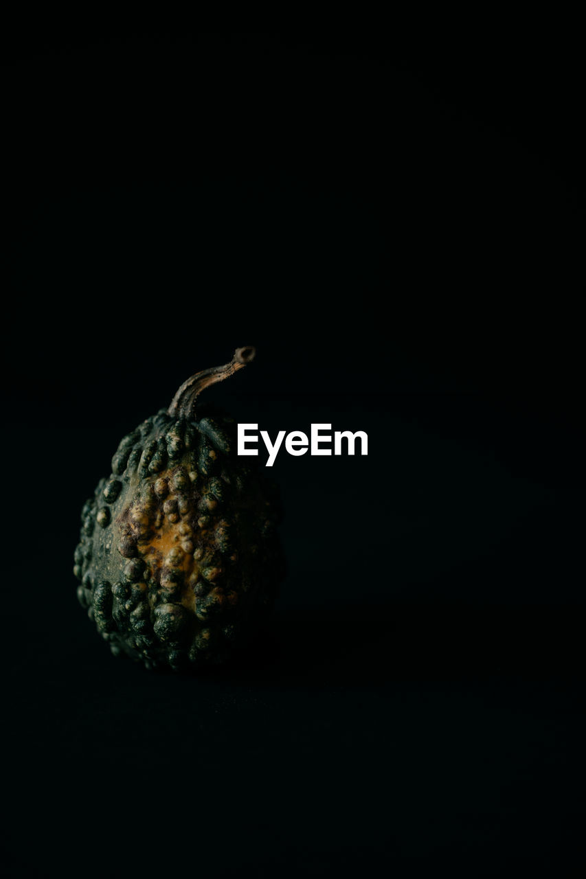 CLOSE-UP OF FRUIT OVER BLACK BACKGROUND