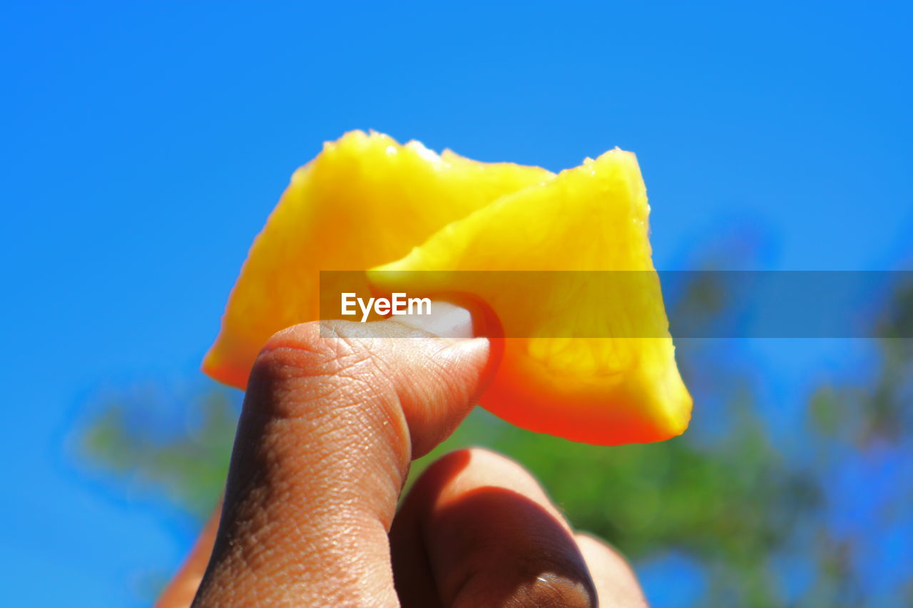 Cropped image of person holding orange slices against sky