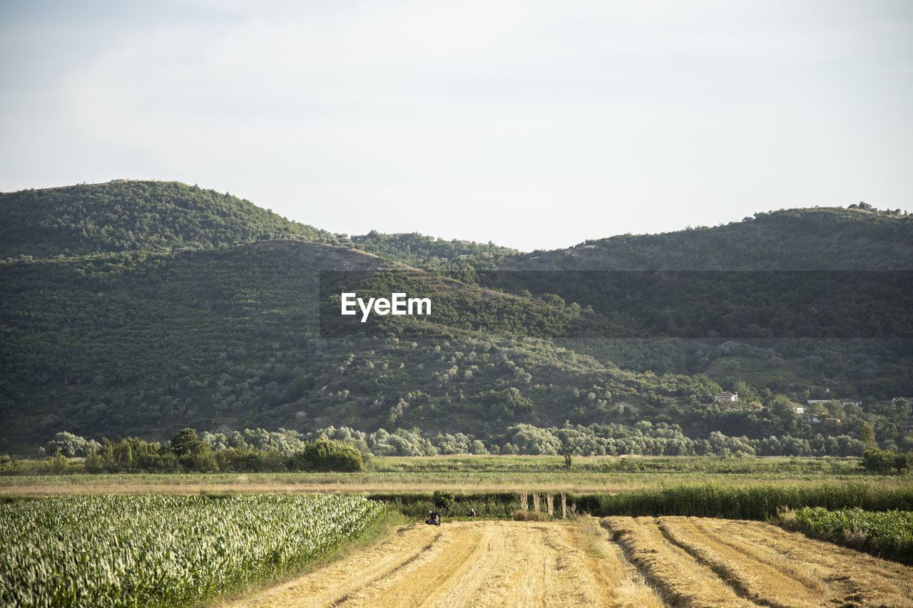 SCENIC VIEW OF FARM AGAINST SKY