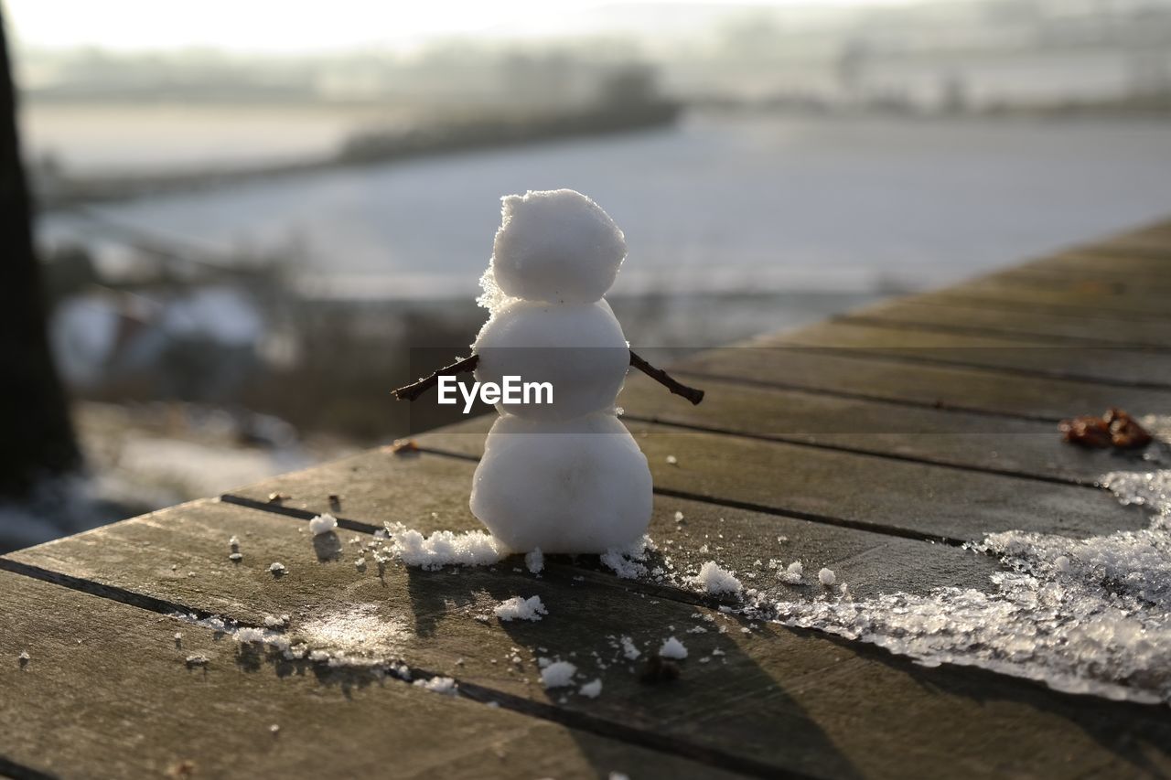 Little snowman, watching the landscape