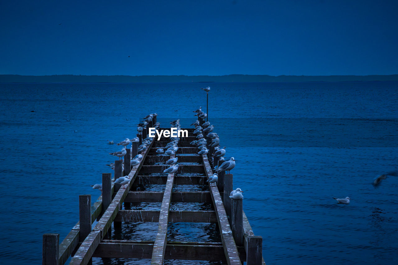 water, sea, horizon, ocean, sky, reflection, nature, blue, pier, beauty in nature, scenics - nature, wood, transportation, tranquility, coast, beach, horizon over water, no people, architecture, jetty, land, outdoors, nautical vessel, tranquil scene, shore, clear sky, dock, day, wave, dusk, built structure, the way forward, travel
