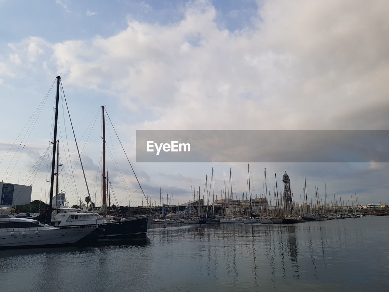 SAILBOATS IN HARBOR