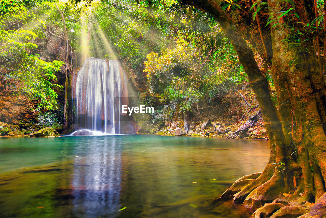 SCENIC VIEW OF WATERFALL AGAINST TREES