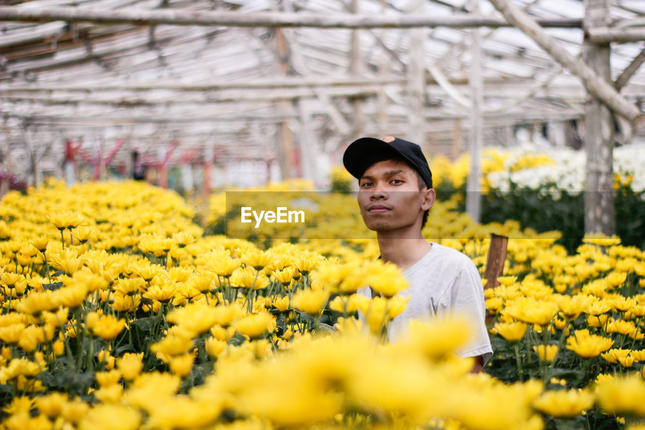 Portrait of man standing amidst yellow flowers