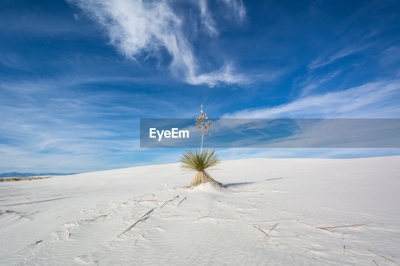 Scenic view of snow covered field against sky