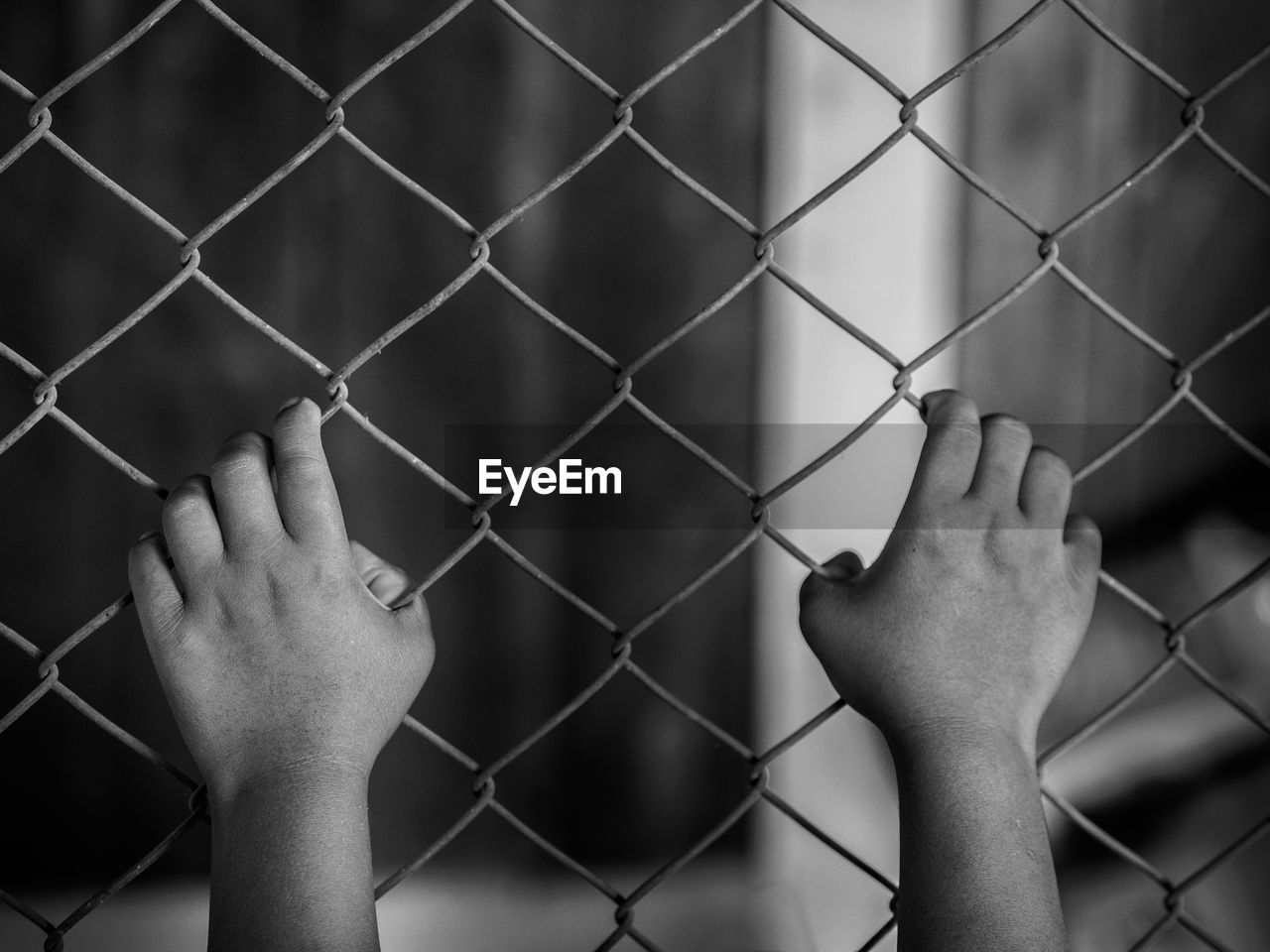 Cropped hands of person on chainlink fence