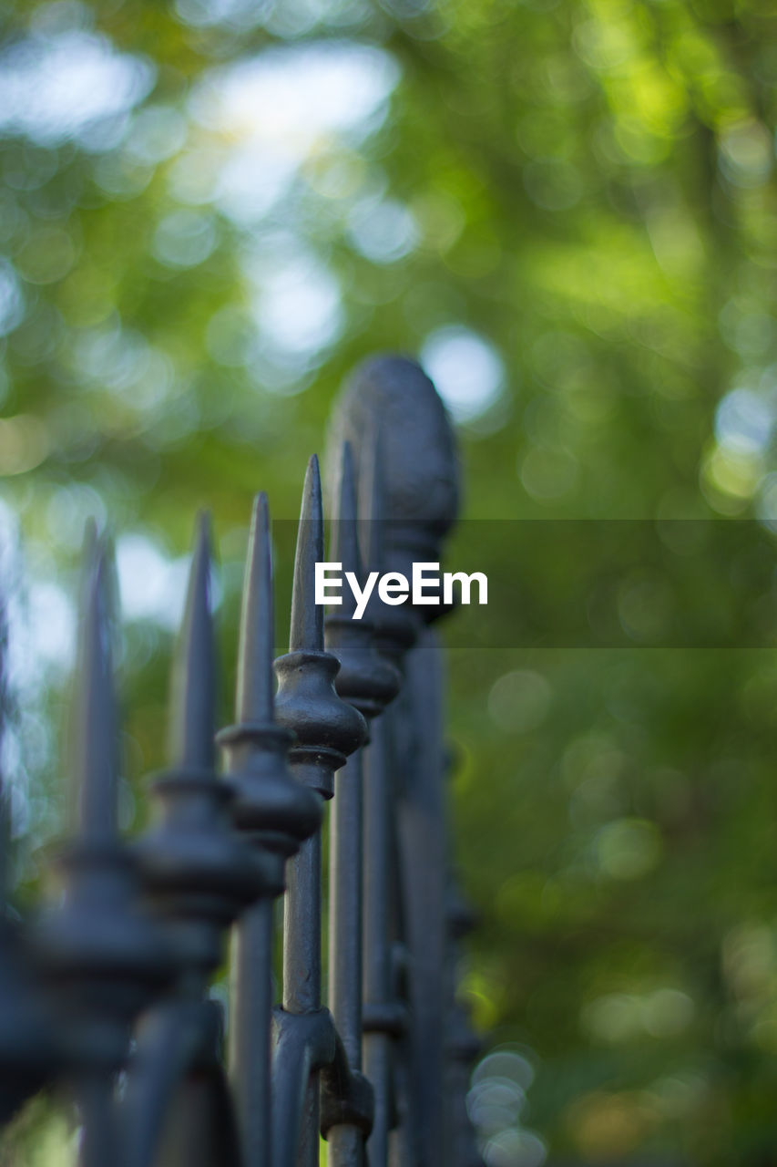 CLOSE-UP OF RAILINGS AGAINST TREES