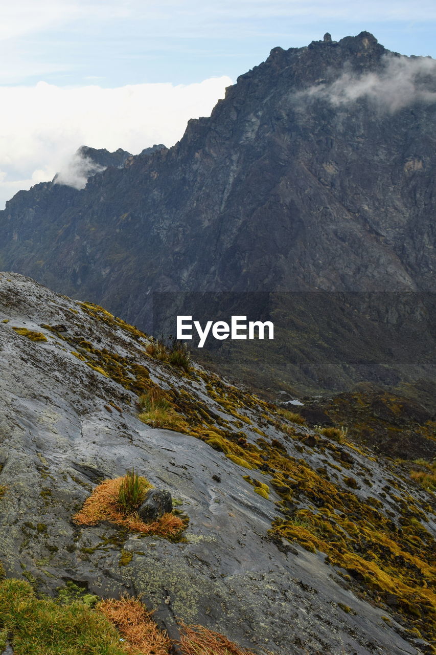 Rock formations above the clouds at rwenzori mountains, uganda